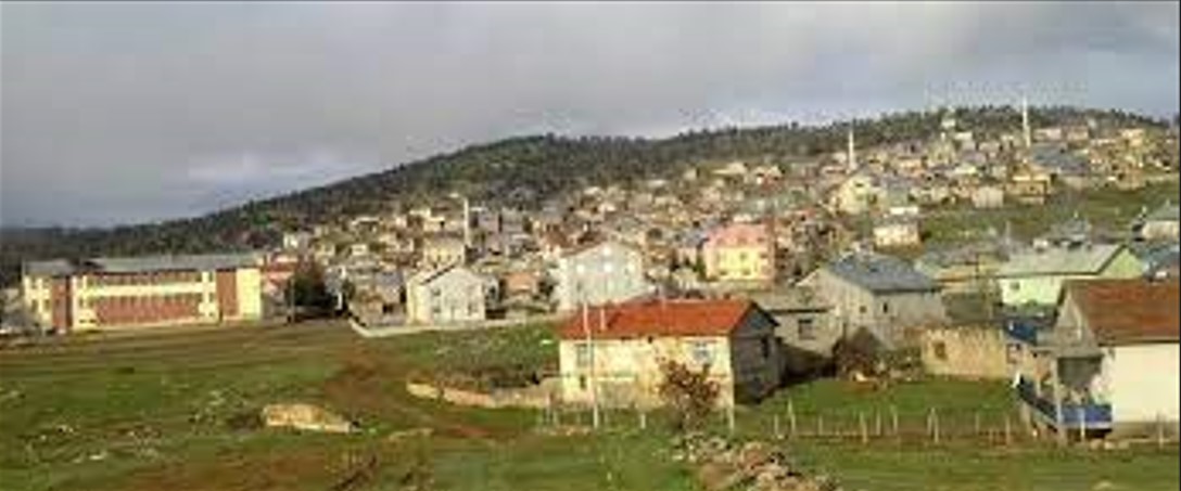 KONYA BOZKIR HAMZALAR KÖYÜNDE 4.606M² BAĞIMIZ SATILIKTIR. - KONYA BOZKIR fotoğraf 3